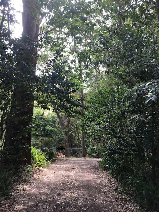 Avoca Beach And Bush Ngoại thất bức ảnh