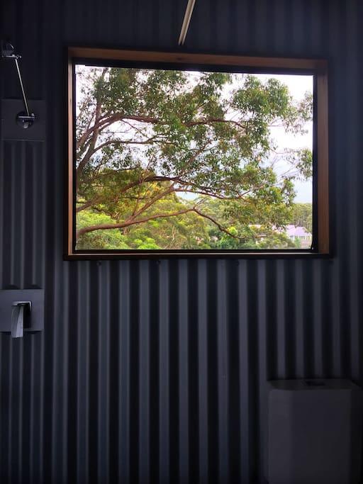 Avoca Beach And Bush Ngoại thất bức ảnh